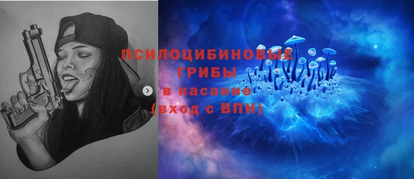 прущие крисы Мегион