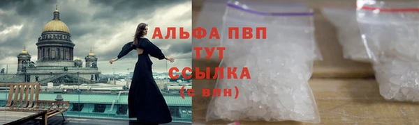 гашик Медногорск