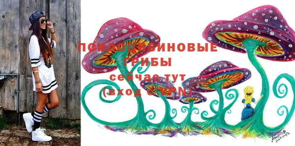 прущие крисы Мегион