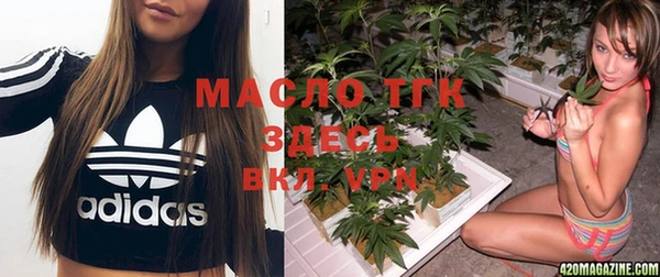 гашик Медногорск