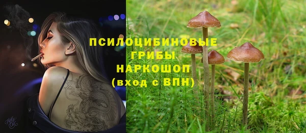 гашик Медногорск