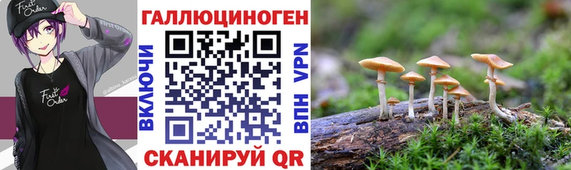 Галлюциногенные грибы прущие грибы  Туапсе 